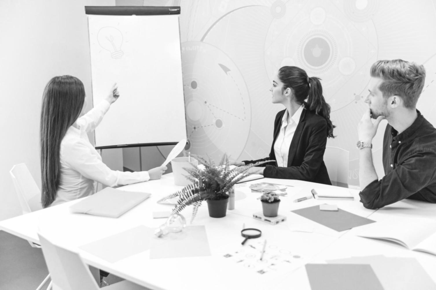Sesión de mentoría personalizada en Qaxexivellum